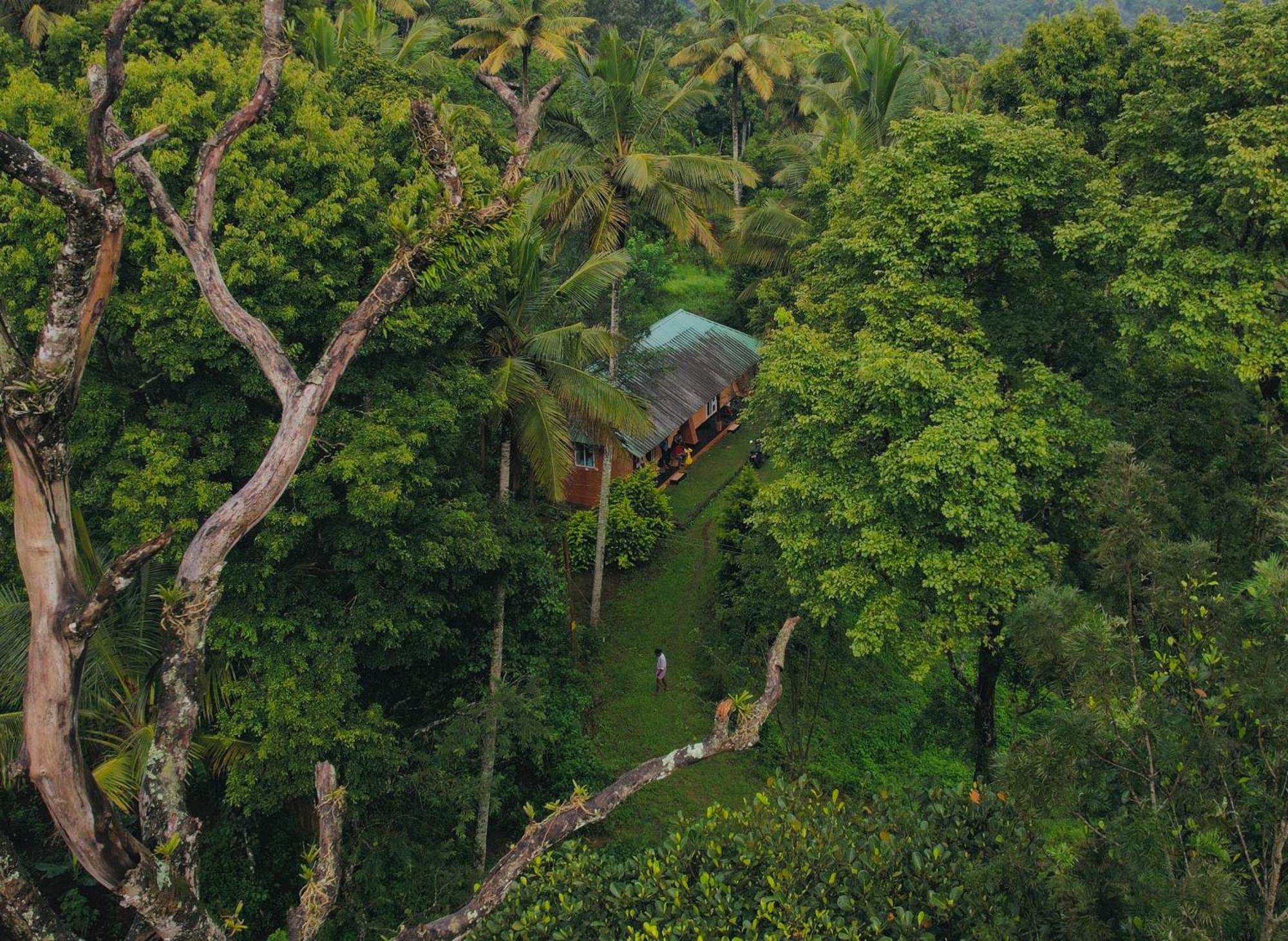 Punarjani Ayurvedic Resorts Ramakkalmedu Экстерьер фото